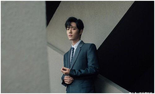 肖战资讯爆料文章最新,揭秘他的私生活与演艺事业背后的故事  第1张