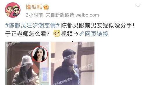 娱乐圈最新爆料辟谣视频,真相与谣言的较量  第3张