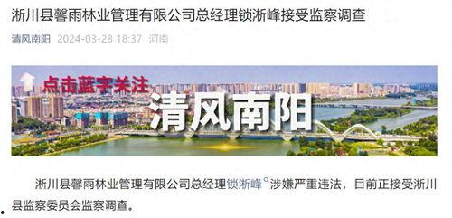 河南爆料热线最新消息,揭秘重大事件背后真相！  第3张